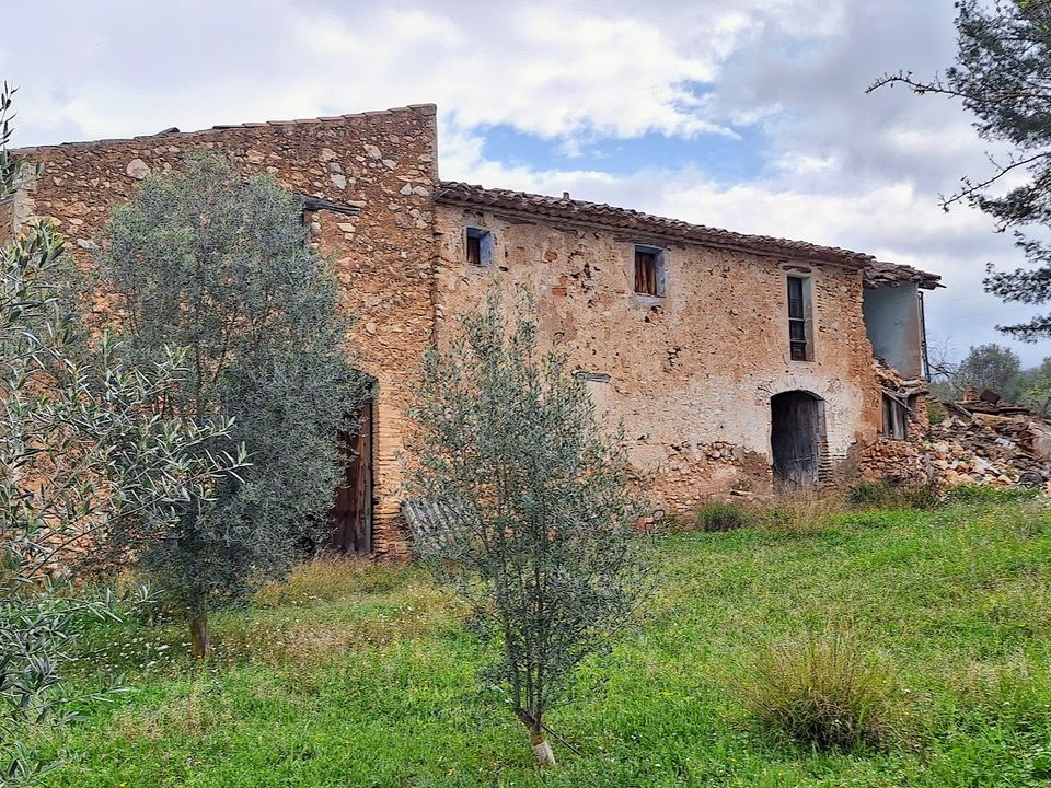 Finca i Tivissa, Tarragona - bilde 1